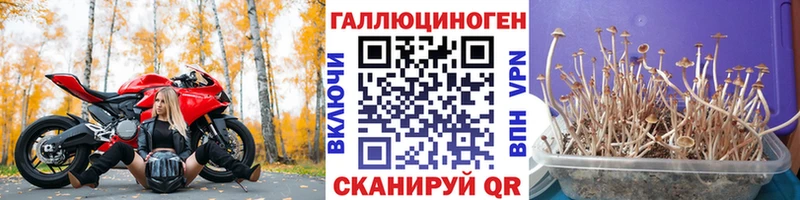 Галлюциногенные грибы прущие грибы  площадка наркотические препараты  Калач-на-Дону 